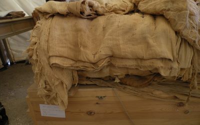 Textiles in Deir el-Medina 2024